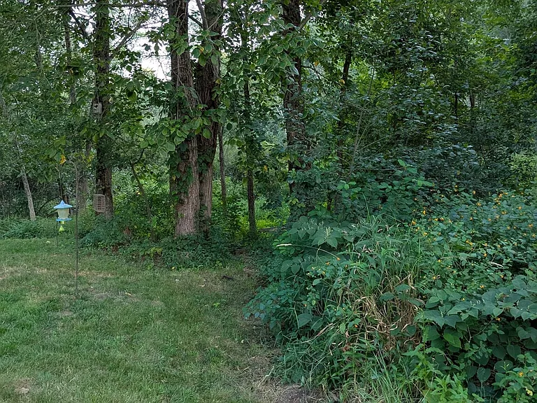 4 Lorraine Ave — Photo 28