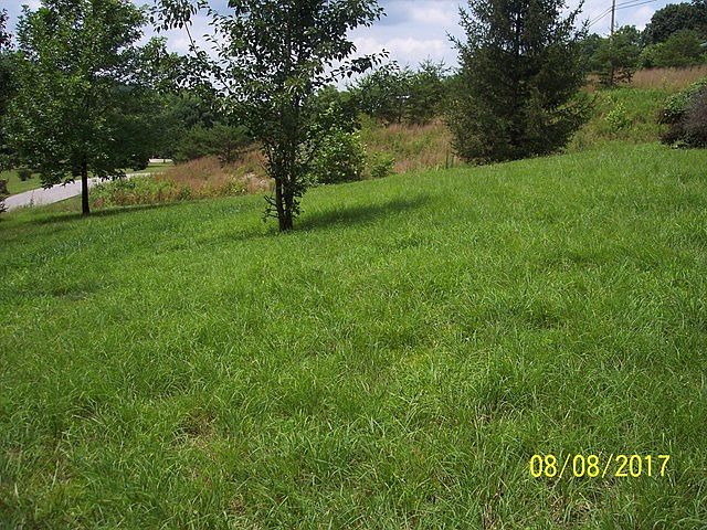 2nd image of 705 Sweet Lick Rd