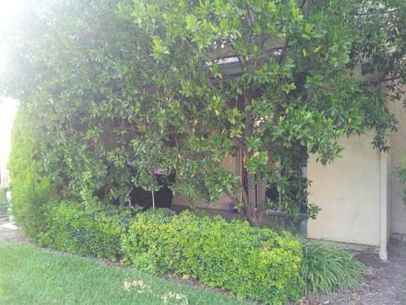 2nd image of 1022 Summerplace Dr