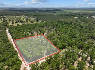 186th Ter, Mc Alpin, FL 32062