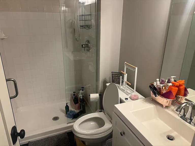 Basement bathroom, shower, sink , toilet.