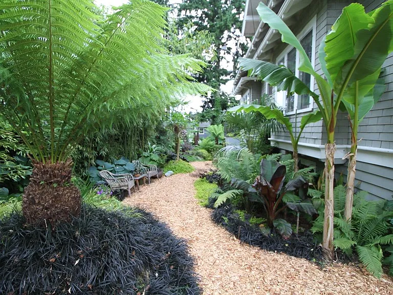 side garden with wood chip paths and lush plantings