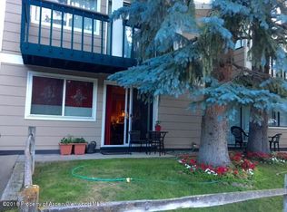 915 E Hopkins Ave APT 5, Aspen, CO 81611