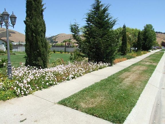 Property starts at curb