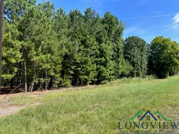 Tbd Fm 225, Laneville, TX 75667