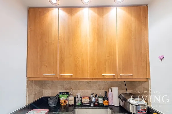 Rented by NY Living Solutions | media 13