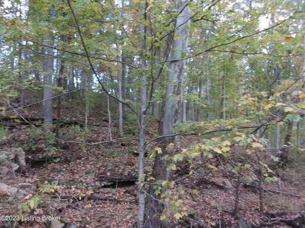 300 Wilder Rd, Taylorsville, KY 40071