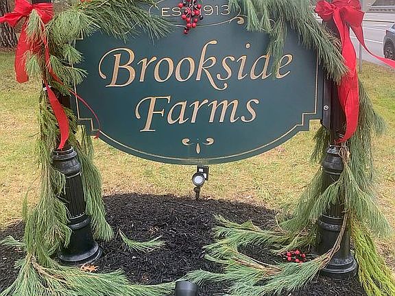 ...area of Bethel Park