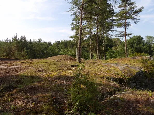 1 Summer City Rd, Evensville, TN 37332