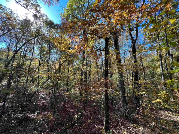 LOT-60R Holley Mountain Airpark, Clinton, AR 72031