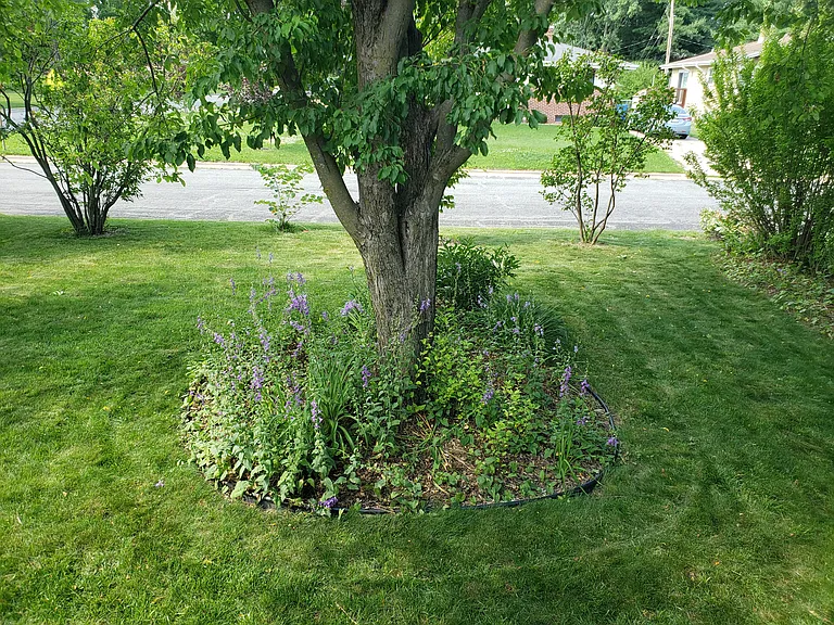 5200 Schofield St #5200 — Photo 21