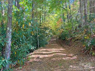 9999 Woolyshot Branch Rd, Hot Springs, NC 28743