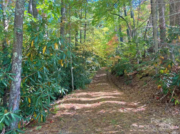 9999 Woolyshot Branch Rd, Hot Springs, NC 28743