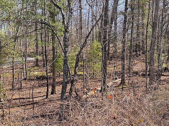 2nd image of 0 Forest Acre Trl
