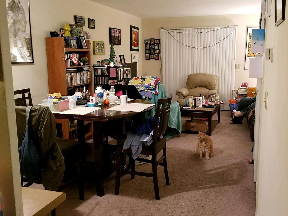 Dining/living area