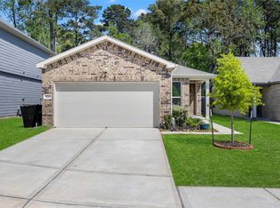 9550 Louis Phillip St, Magnolia, TX 77354