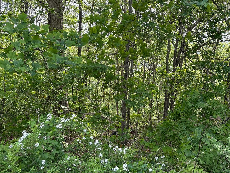 1st image of LOT 168 Saddleridge Dr