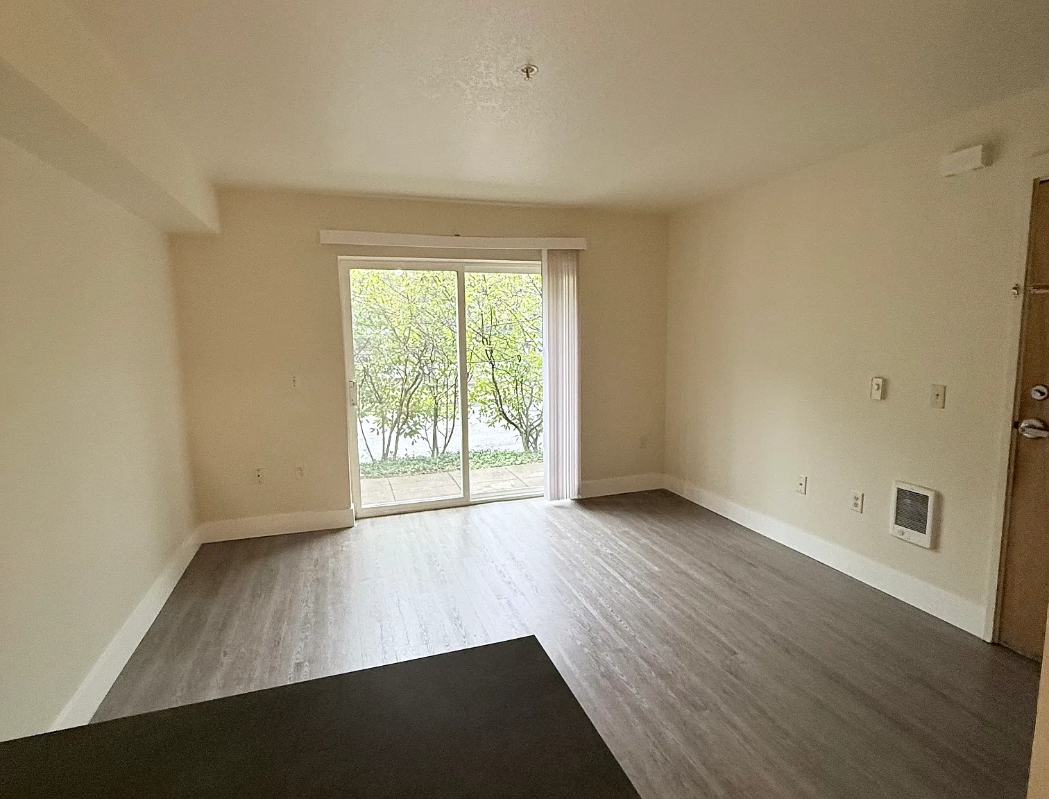 1 bed, 432 sqft, $1,250 — Photo 1