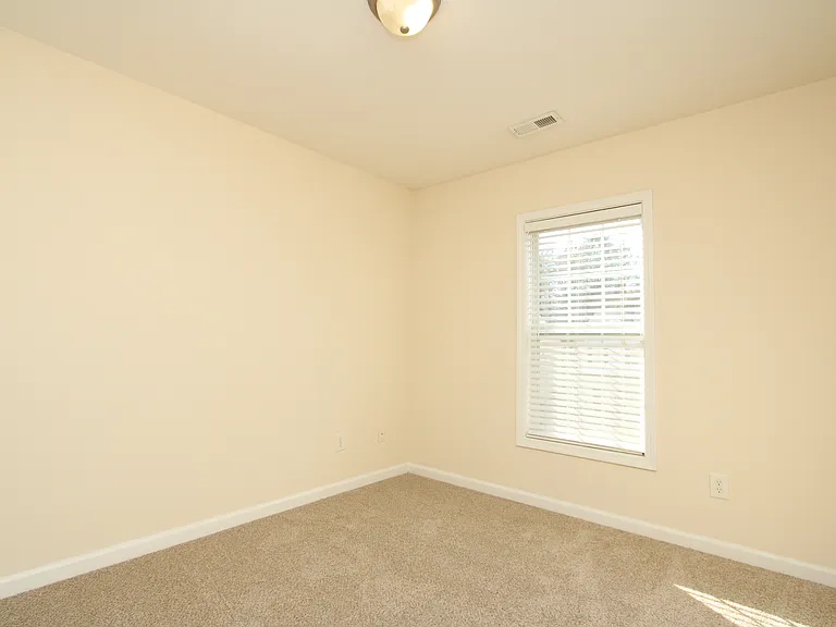 3921 Volkswalk Pl — Photo 27
