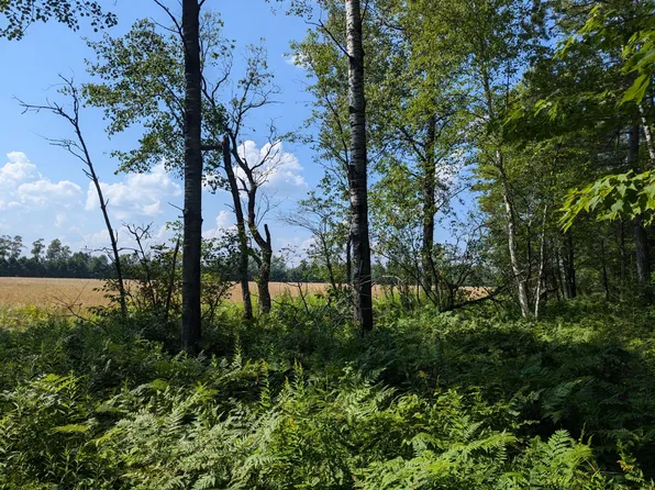 S Fork Rd, Phillips, WI 54555