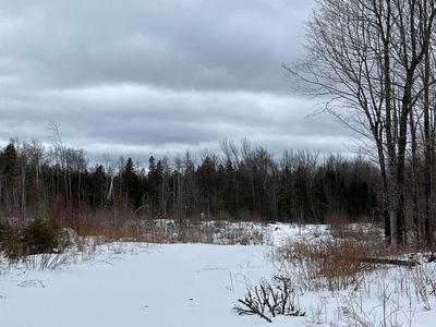 40 Acres Crescent Rd #482, Ishpeming, MI, 49849