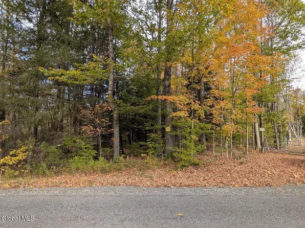 L23.2 Potter Hollow Road, Providence, NY 12074