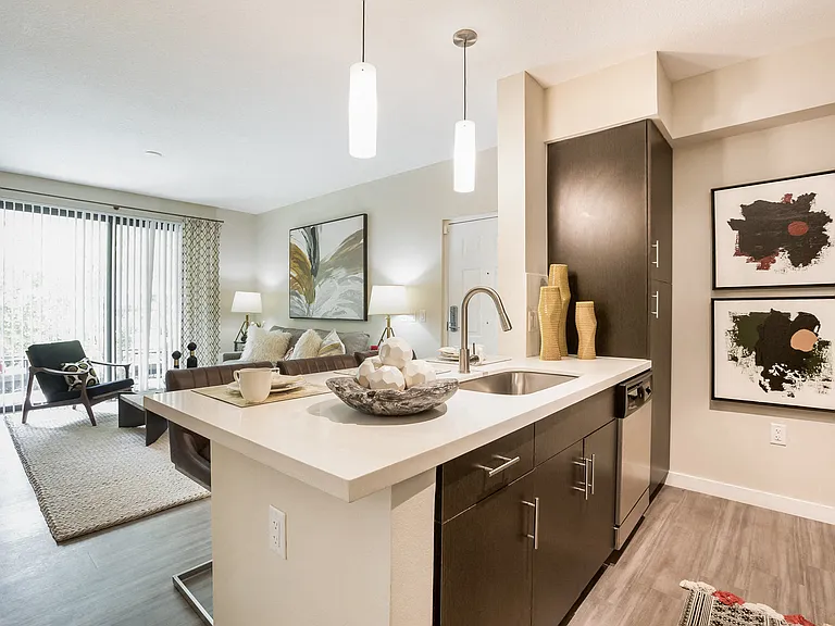 Modern espresso cabinetry with brushed nickel hardware