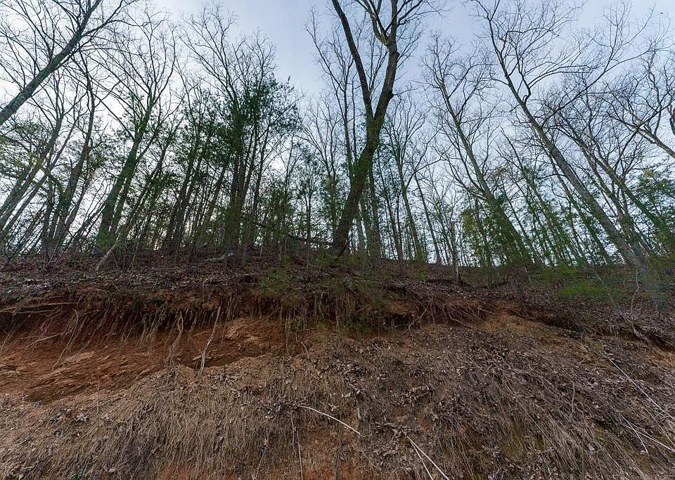 1st image of 0 Wilson Hollow Way