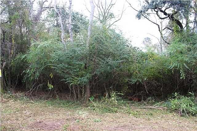 2nd image of 462 Cooper Ave
