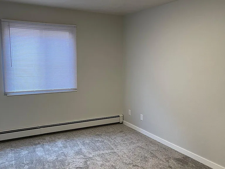 420 S Van Buren St #4 — Photo 12