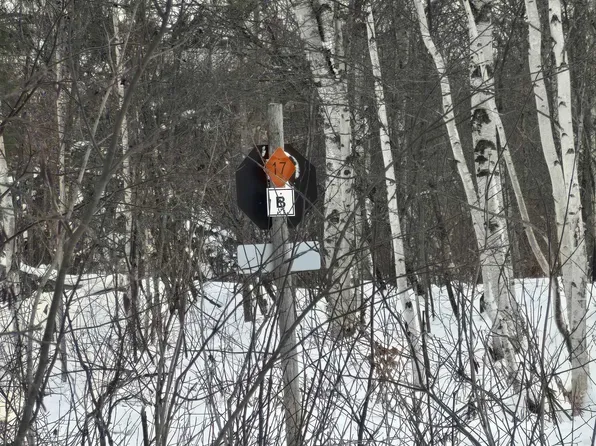 Tbd Electric Park Rd, Calumet, MI 49913