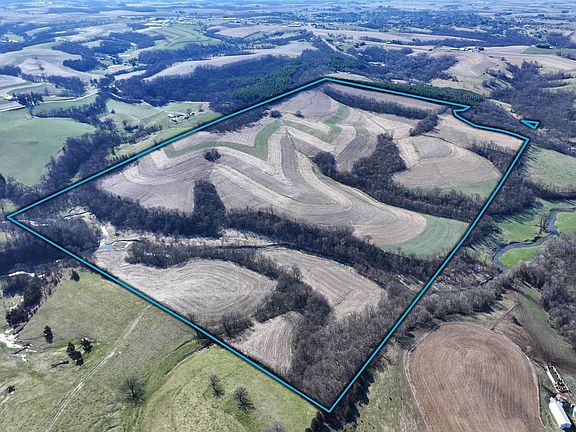 4th image of 229.98 Acres Whitcomb Lane