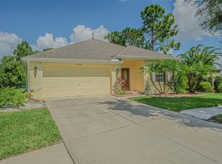 20520 Sultana Ct, Tampa, FL 33647