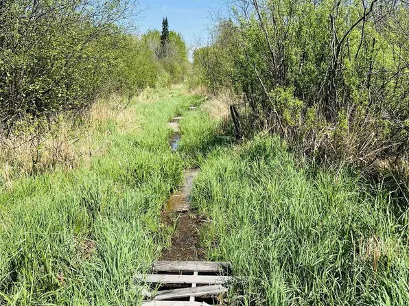 Zink Avenue, Greenwood, WI 54470