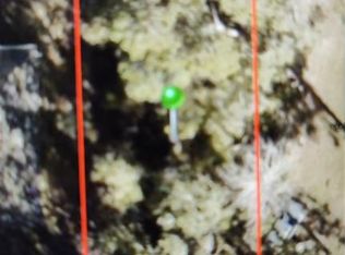 15th St LOT 31, Orange City, FL 32763