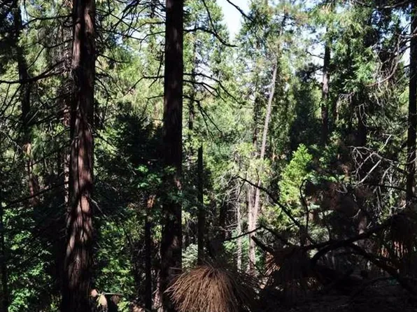 Deer Run Rd, Cedarpines Park, CA 92322