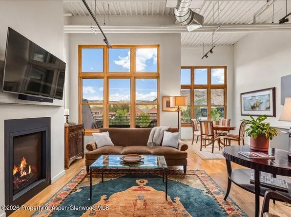 231 Robinson St Unit 318, Basalt, CO 81621