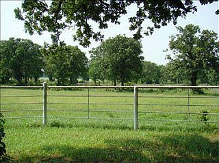 4th image of 703 County Road 1308