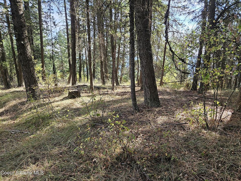 2nd image of Nka Bella Vis
