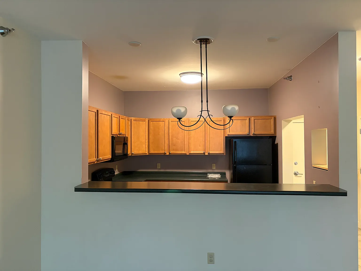 2 bed, 1070 sqft, $2,300 — Photo 4