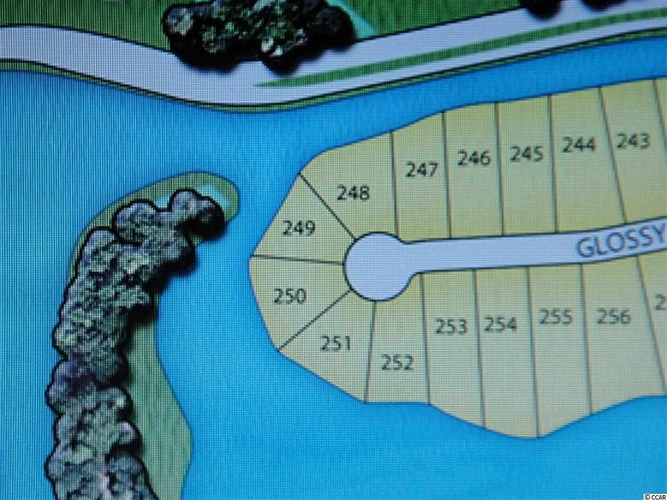 1st image of 1137 Glossy Ibis Dr. Lot 250 Wild Wing Plantation