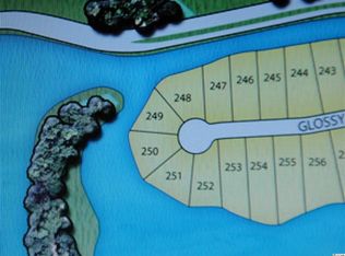 1137 Glossy Ibis Dr LOT 250, Conway, SC 29526