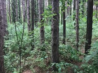 17306 Violet Ruth Dr NE, Cedar Springs, MI 49319