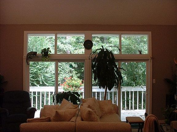 View out back