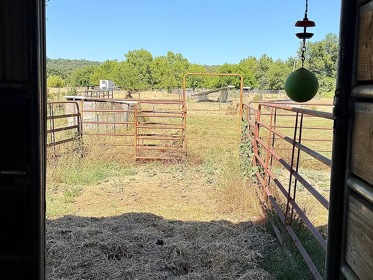 12'x24' turnout behind each stall