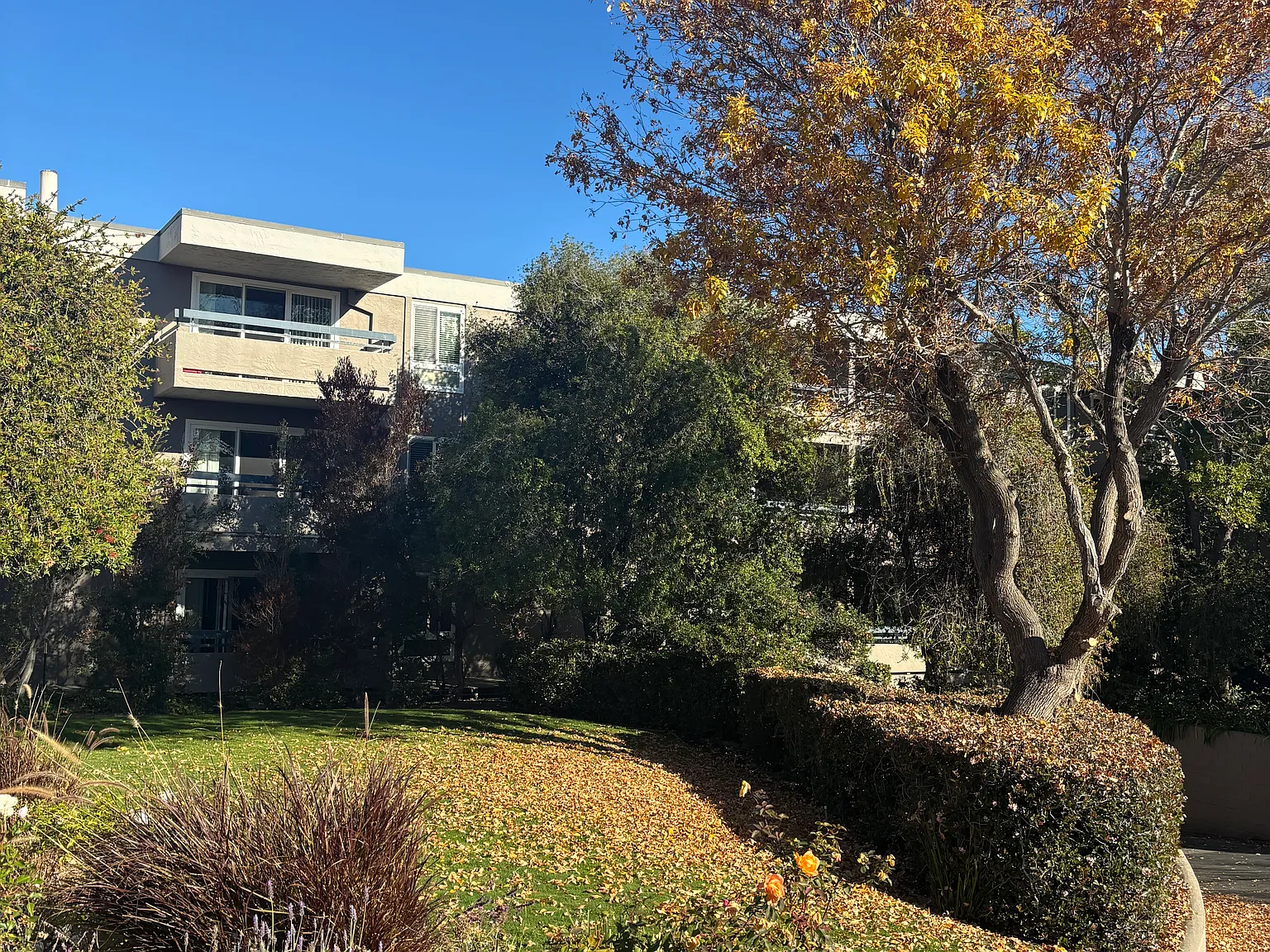 Oakview Apartments — Photo 2