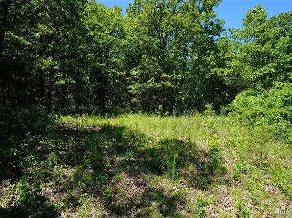 0 Blocks Branch Rd, Owensville, MO 65066