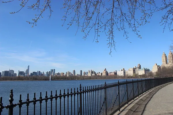 Rented by Douglas Elliman | media 10