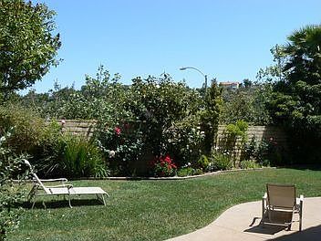 One view of the backyard