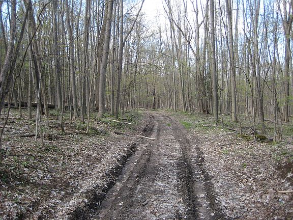 TRAIL SYSTEM THROUGHOUT